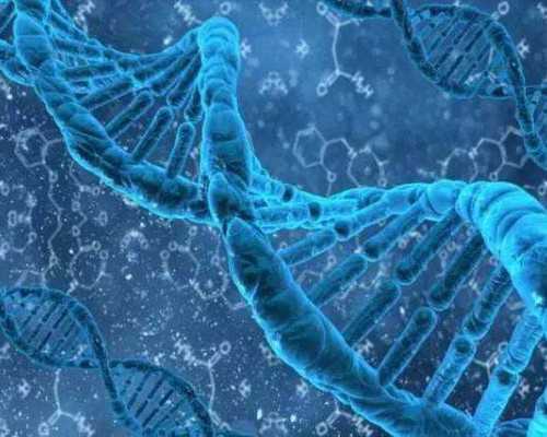 2026上海三代试管借卵代怀生男孩单周费用明细一览：第三方助孕价格明细一览
