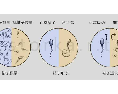 北京做供卵试管婴儿包生男孩的医院,北京协和医院做三代供卵试管婴儿一共要