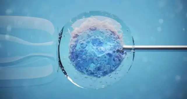 哪个国家代孕最_代孕费用明细_试管婴儿成活率有多大？放2个胚胎成活率高吗？